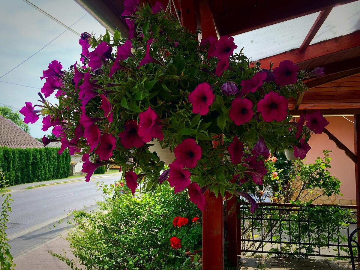 Villa Negra Motel Berzence Buitenkant foto