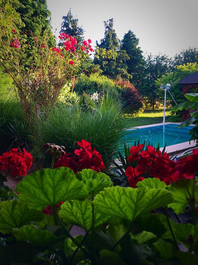 Villa Negra Motel Berzence Buitenkant foto