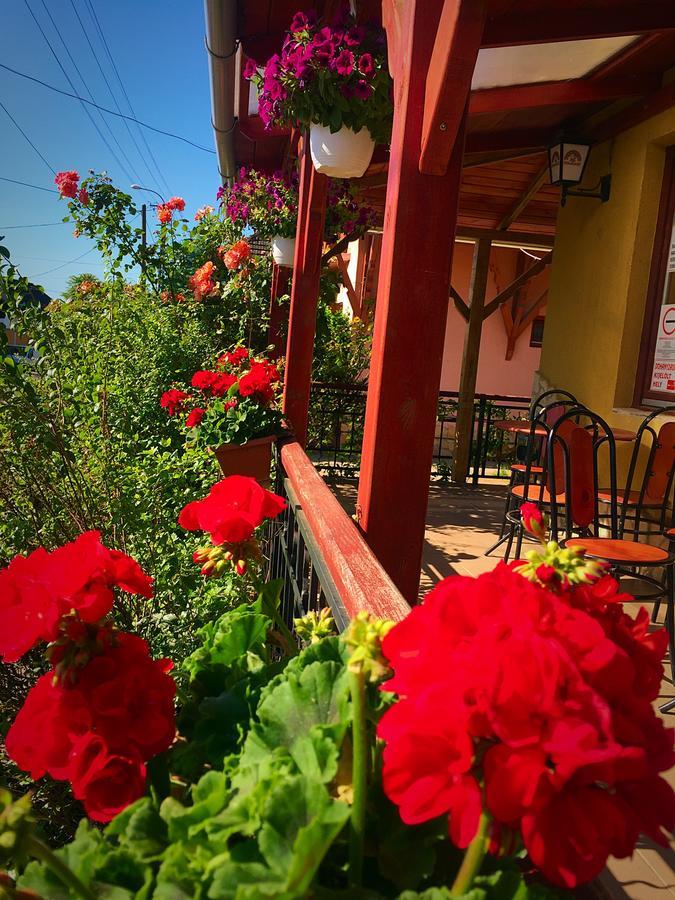 Villa Negra Motel Berzence Buitenkant foto